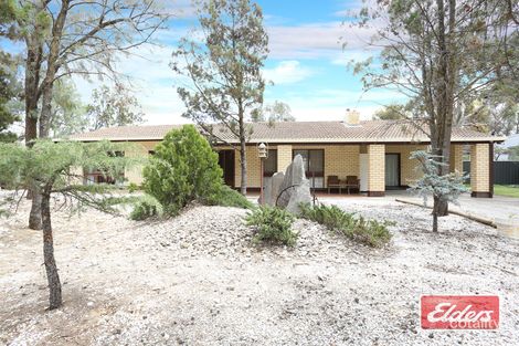 2943 Sturt Hwy, Nuriootpa, SA 5355