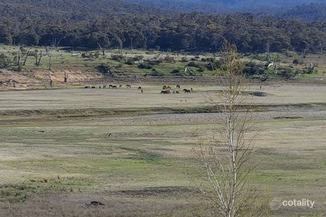 68 Providence Rd, Providence Portal, NSW 2629