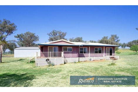 Property photo of 14509 New England Highway Timbumburi NSW 2340