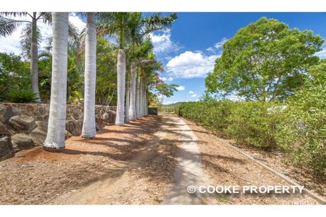 Property photo of 193 Auton & Johnson Road The Caves QLD 4702