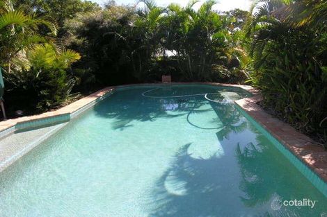 Property photo of 66 Flamingo Crescent Thornlands QLD 4164