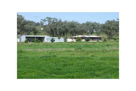 Property photo of 14509 New England Highway Timbumburi NSW 2340