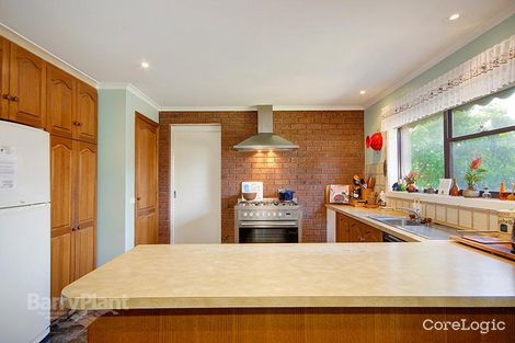 Property photo of 32 Calvert Street Hamlyn Heights VIC 3215