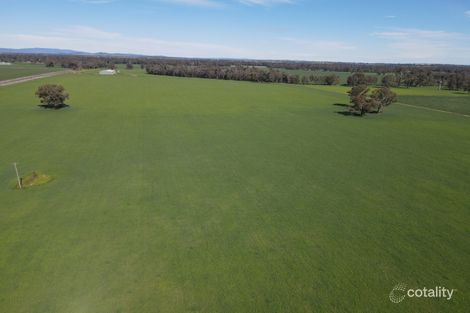 Property photo of 564 Paytens Bridge Road Eugowra NSW 2806