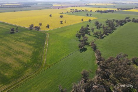 Property photo of 564 Paytens Bridge Road Eugowra NSW 2806