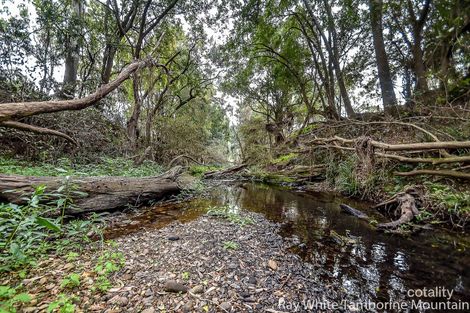 Property photo of 154 Karen Court Tamborine QLD 4270