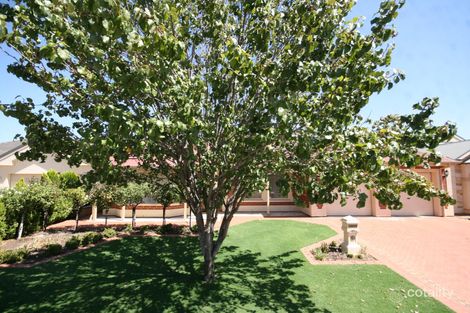 51 Stanford Ave, Novar Gardens, SA 5040