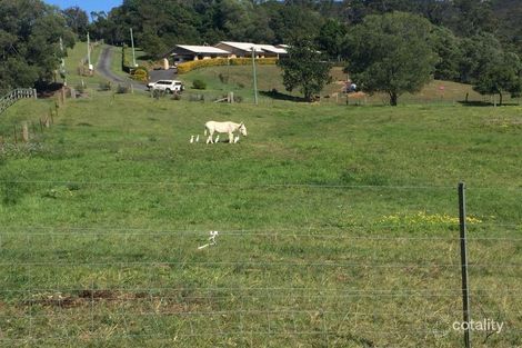 Property photo of 359 Ruffles Road Willow Vale QLD 4209