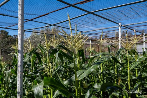 Property photo of 573 Norton Road Wamboin NSW 2620