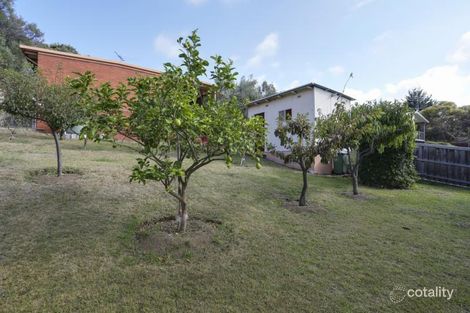 Property photo of 24 Croanna Street Rye VIC 3941