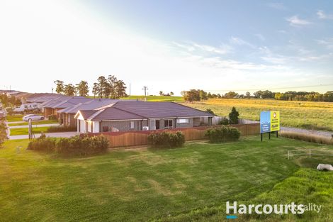 Property photo of 17 Mayo Crescent Chisholm NSW 2322