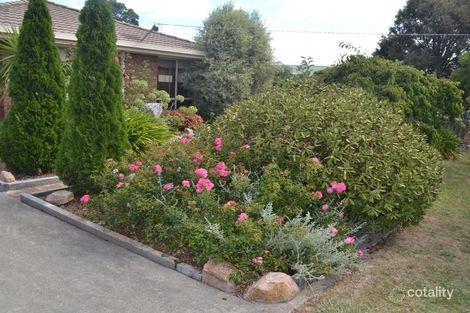 Property photo of 14 Saint James Drive Yinnar VIC 3869