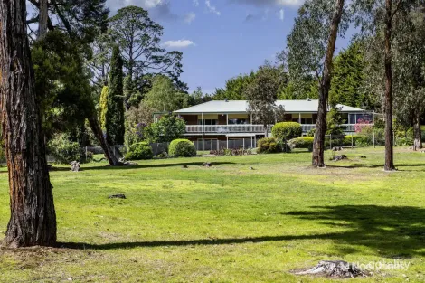 Property photo of 175 Clegg Road Mount Evelyn VIC 3796