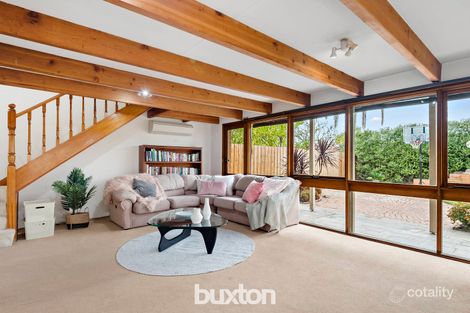 Property photo of 49 Ester Crescent Clayton South VIC 3169