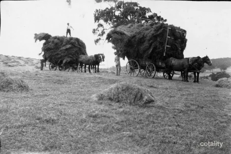 Property photo of 21 Newman Road Charleston SA 5244