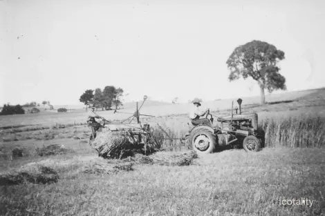 Property photo of 21 Newman Road Charleston SA 5244