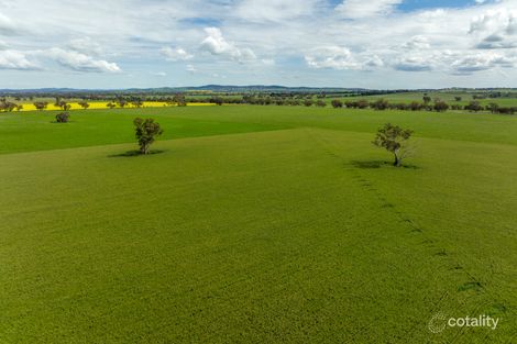 417 Donohoes Lane, Downside, NSW 2650