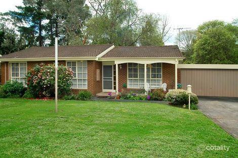 6/13 Lindsay Ave, Nunawading, VIC 3131