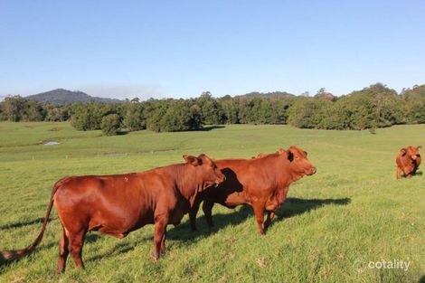 101 Bald Knob Rd, Peachester, QLD 4519