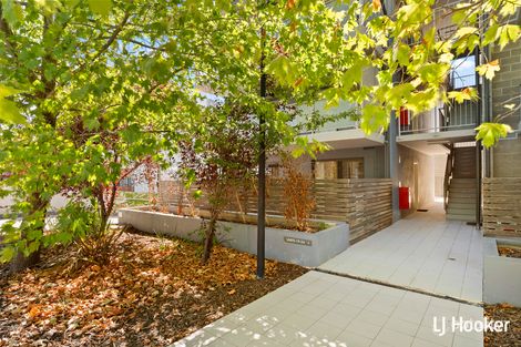 20/126 Thynne St, Bruce, ACT 2617