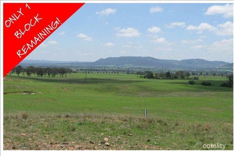 Property photo of 238 Broadhead Road Spring Flat NSW 2850