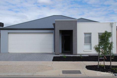 113 Shoalhaven Cct, Mawson Lakes, SA 5095
