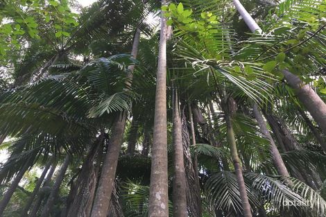 Property photo of 905M Main Western Road Tamborine Mountain QLD 4272