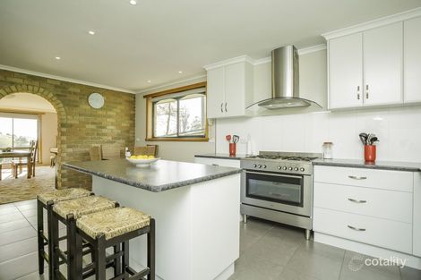 111 Sledge Trk, West Scottsdale, TAS 7260