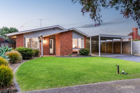 19 Tanunda Gr, Belmont, VIC 3216
