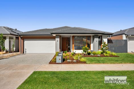 19 Salisbury Cct, Fyansford, VIC 3218