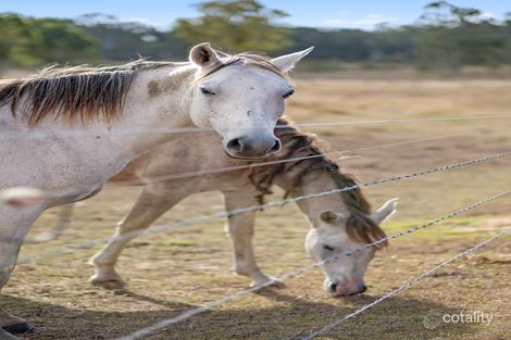 Property photo of 41 Carmichaels Road Purga QLD 4306