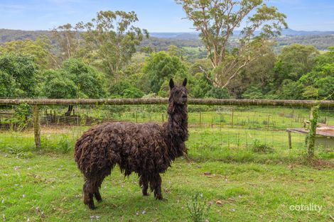 Property photo of 7 Ringwood Lane Mapleton QLD 4560