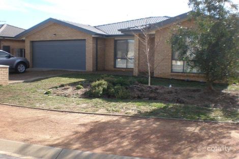 Property photo of 39 Buckingham Street Amaroo ACT 2914