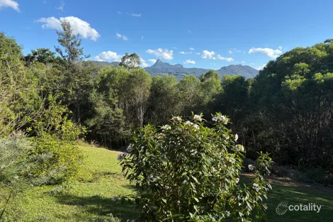 Property photo of 266 Tyalgum Road Eungella NSW 2484