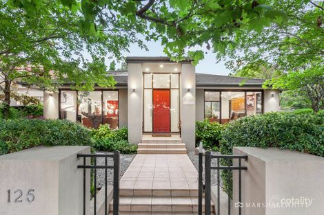 Property photo of 125 High Street Glen Iris VIC 3146