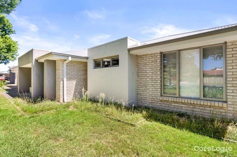 Property photo of 31 Pinehurst Avenue Leichhardt QLD 4305