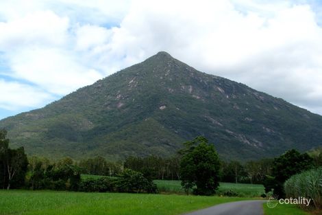 Property photo of 30 Goessling Street Gordonvale QLD 4865