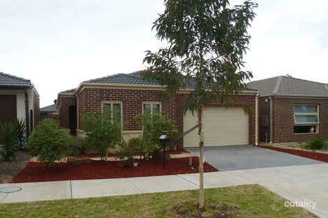 Property photo of 100 Everard Road Mernda VIC 3754