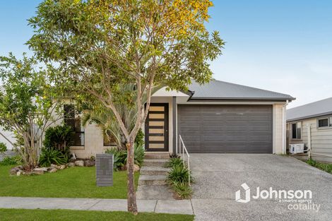 5 Wedgebill Cct, Redbank Plains, QLD 4301