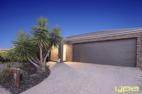 7 Citronelle Cct, Brookfield, VIC 3338