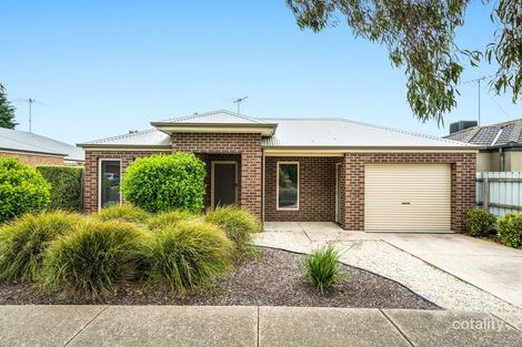 1/31 Hoddle Dr, Leopold, VIC 3224