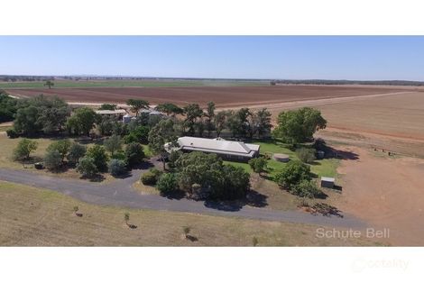 Property photo of 993 Backwater Road Narromine NSW 2821