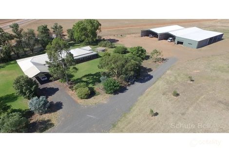 Property photo of 993 Backwater Road Narromine NSW 2821