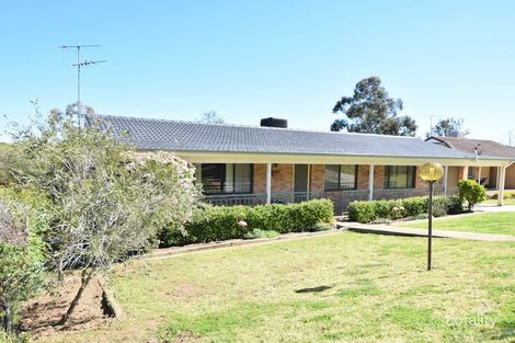 Property photo of 11 Milong Street Young NSW 2594