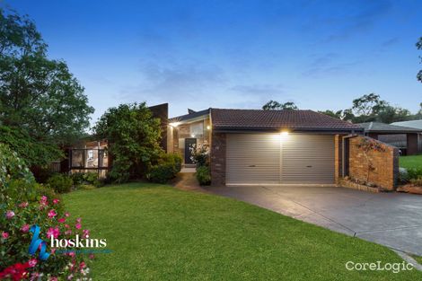 Property photo of 19 Mundara Drive Ringwood VIC 3134