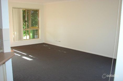 Property photo of 3 Pro Hart Place Coombabah QLD 4216