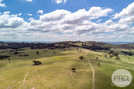 669 Big Springs Rd, Big Springs, NSW 2650