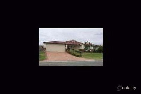 163 Bronzewing Ave, Ellenbrook, WA 6069