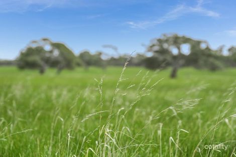 Property photo of 3 McQueen Drive Inverleigh VIC 3321