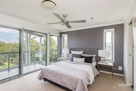 Property photo of 246 Oxford Street Balmoral QLD 4171